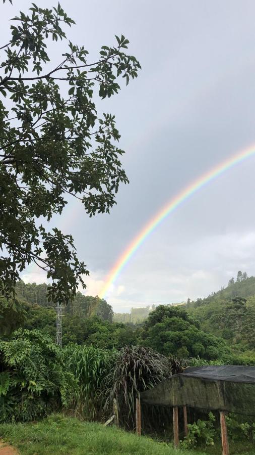 Pousada Pedra Da Mata Chales Na Montanha Munhoz Buitenkant foto