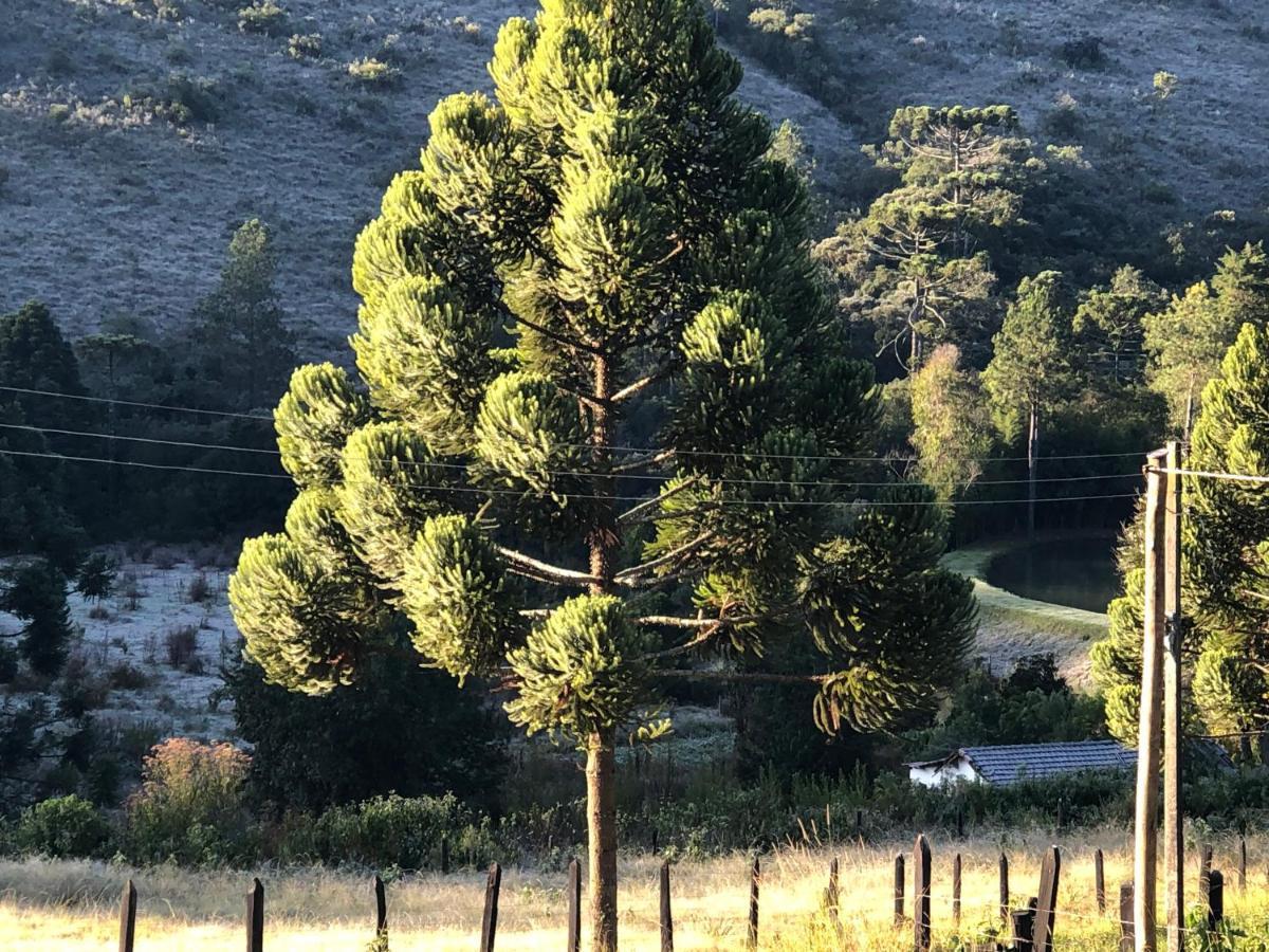 Pousada Pedra Da Mata Chales Na Montanha Munhoz Buitenkant foto