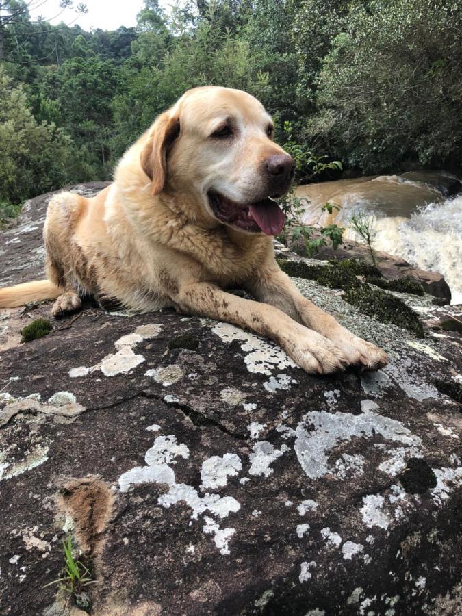 Pousada Pedra Da Mata Chales Na Montanha Munhoz Buitenkant foto