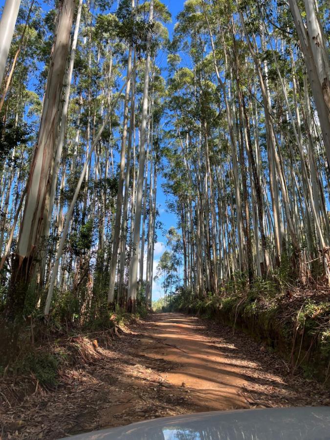 Pousada Pedra Da Mata Chales Na Montanha Munhoz Buitenkant foto