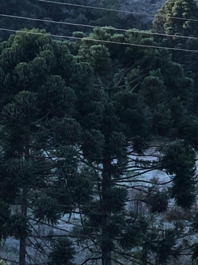 Pousada Pedra Da Mata Chales Na Montanha Munhoz Buitenkant foto