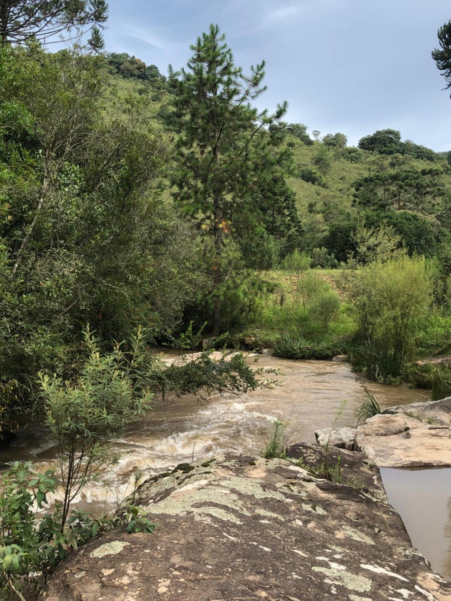 Pousada Pedra Da Mata Chales Na Montanha Munhoz Buitenkant foto